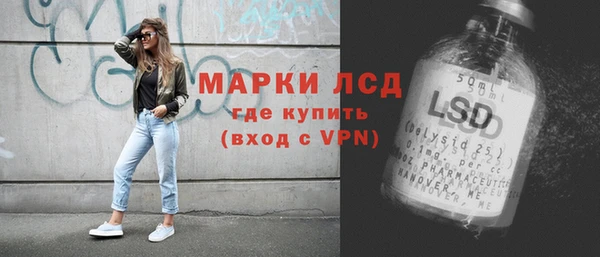 дурь Няндома