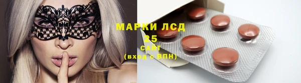 дурь Няндома