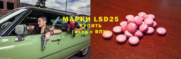 дурь Няндома