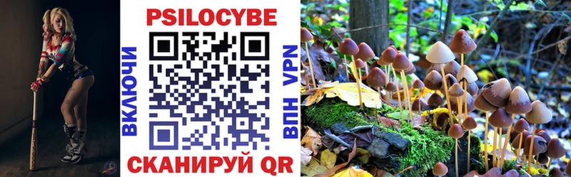 хочу наркоту  Торопец  Псилоцибиновые грибы мицелий 